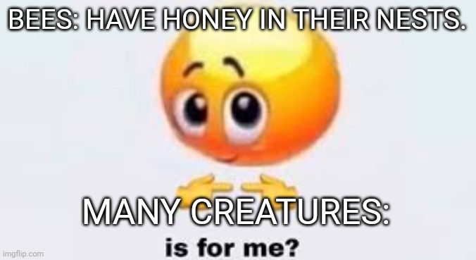 Just wait until you hear honey's the VOMIT of bees on nectar. | BEES: HAVE HONEY IN THEIR NESTS. MANY CREATURES: | image tagged in whatever,hymenoptera | made w/ Imgflip meme maker