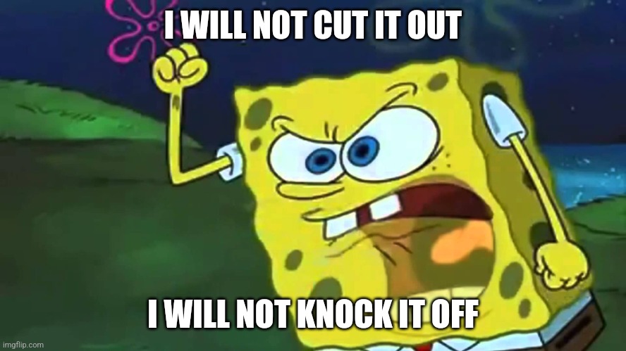 ONLY BITCHES TELL PEOPLE TO CUT IT OUT AND KNOCK IT OFF | I WILL NOT CUT IT OUT; I WILL NOT KNOCK IT OFF | image tagged in angry spongebob,bitches | made w/ Imgflip meme maker