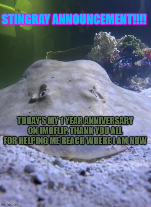 StergiosThe_Exotic_Stingray's announcement template | STINGRAY ANNOUNCEMENT!!!! TODAY'S MY 1 YEAR ANNIVERSARY ON IMGFLIP. THANK YOU ALL FOR HELPING ME REACH WHERE I AM NOW | image tagged in stergiosthe_exotic_stingray's announcement template,memes,anniversary,imgflip anniversary | made w/ Imgflip meme maker