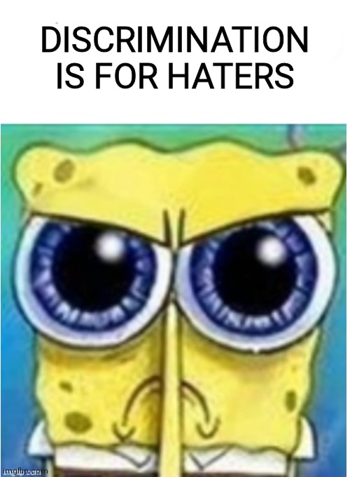 No place for Discrimination | DISCRIMINATION IS FOR HATERS | image tagged in angry spongebob blank,discrimination,no place | made w/ Imgflip meme maker