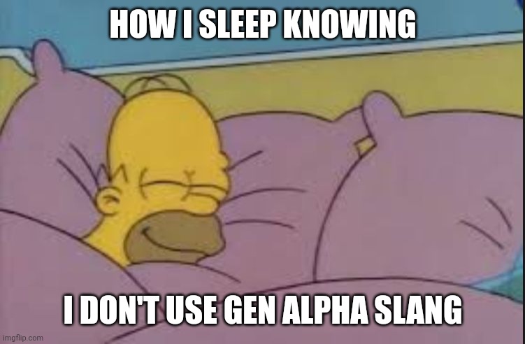 Sigma Skibidy slicer Ohio Rizzo fr fr so Alpha | HOW I SLEEP KNOWING; I DON'T USE GEN ALPHA SLANG | image tagged in how i sleep homer simpson | made w/ Imgflip meme maker