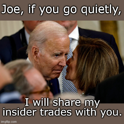 I got a Deal You Can't Refuse | Joe, if you go quietly, I will share my insider trades with you. | image tagged in president_joe_biden,nancy pelosi | made w/ Imgflip meme maker