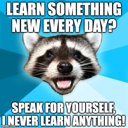 Lame Pun Coon | LEARN SOMETHING NEW EVERY DAY? SPEAK FOR YOURSELF, I NEVER LEARN ANYTHING! | image tagged in memes,lame pun coon | made w/ Imgflip meme maker