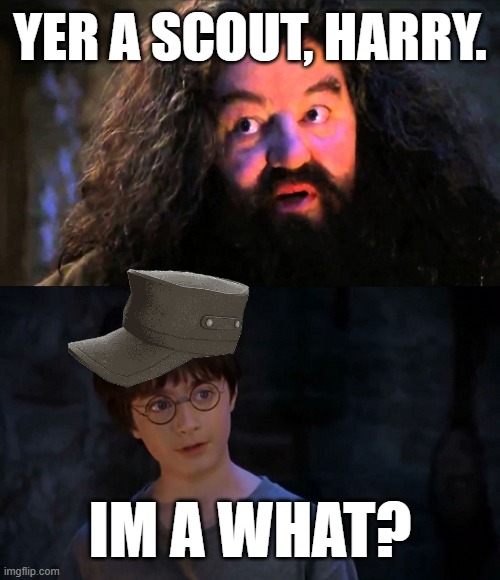 Yer a scout Harry | YER A SCOUT, HARRY. IM A WHAT? | image tagged in you are wizzard harry | made w/ Imgflip meme maker