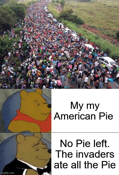 Pie's all gone, Thanks DEMs. | My my American Pie; No Pie left. The invaders ate all the Pie | image tagged in memes,tuxedo winnie the pooh | made w/ Imgflip meme maker