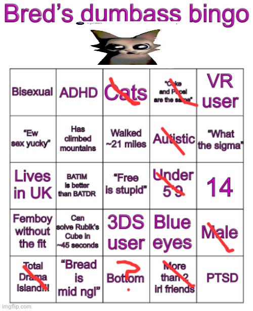 Bred’s stupid bingo | image tagged in bred s stupid bingo | made w/ Imgflip meme maker