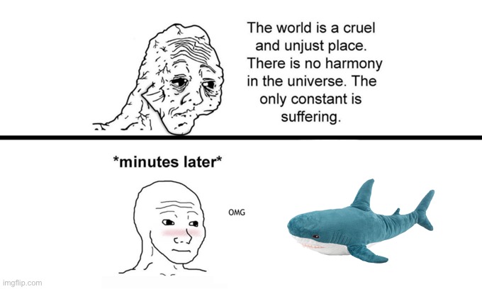 The World is a Cruel and Unjust Place | image tagged in the world is a cruel and unjust place | made w/ Imgflip meme maker