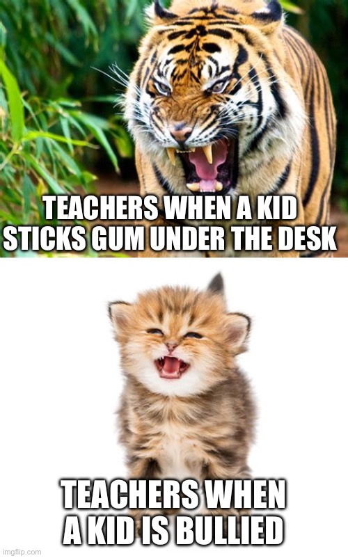 Tiger kitten | TEACHERS WHEN A KID STICKS GUM UNDER THE DESK; TEACHERS WHEN A KID IS BULLIED | image tagged in tiger kitten | made w/ Imgflip meme maker