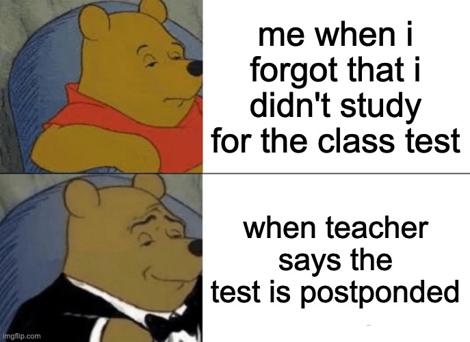 POV-test | me when i forgot that i didn't study for the class test; when teacher says the test is postponded | image tagged in memes,tuxedo winnie the pooh | made w/ Imgflip meme maker