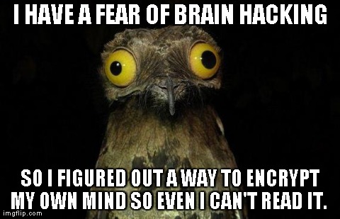 Weird Stuff I Do Potoo | I HAVE A FEAR OF BRAIN HACKING SO I FIGURED OUT A WAY TO ENCRYPT MY OWN MIND SO EVEN I CAN'T READ IT. | image tagged in memes,weird stuff i do potoo | made w/ Imgflip meme maker