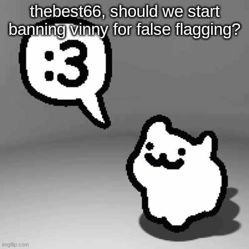 :3 cat | thebest66, should we start banning vinny for false flagging? | image tagged in 3 cat | made w/ Imgflip meme maker