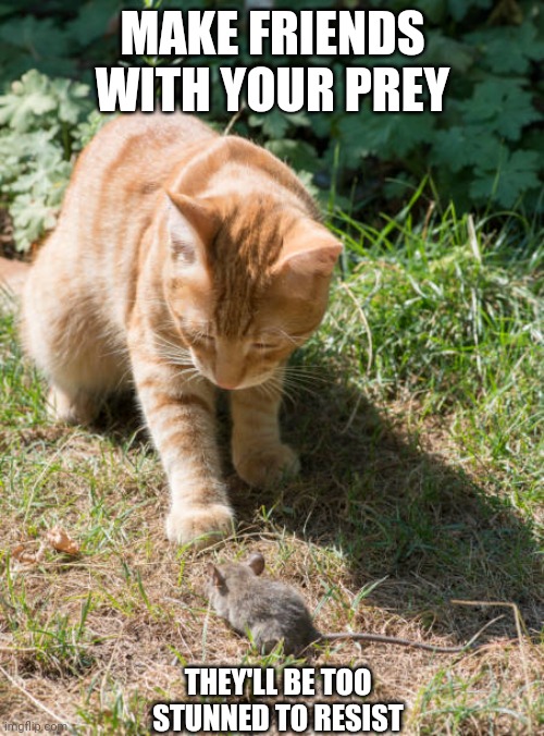 Effective but misguided | MAKE FRIENDS WITH YOUR PREY; THEY'LL BE TOO STUNNED TO RESIST | image tagged in cats,predators | made w/ Imgflip meme maker