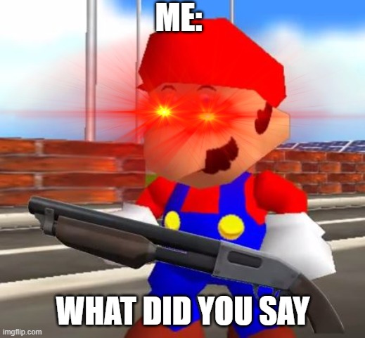 SMG4 Shotgun Mario | ME: WHAT DID YOU SAY | image tagged in smg4 shotgun mario | made w/ Imgflip meme maker