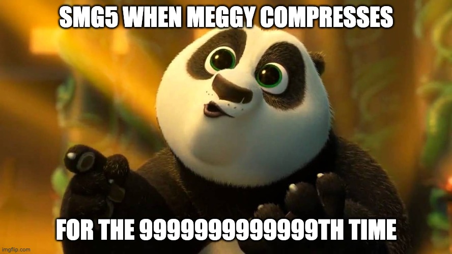 Kung Fu Panda 3 | SMG5 WHEN MEGGY COMPRESSES; FOR THE 9999999999999TH TIME | image tagged in kung fu panda 3 | made w/ Imgflip meme maker