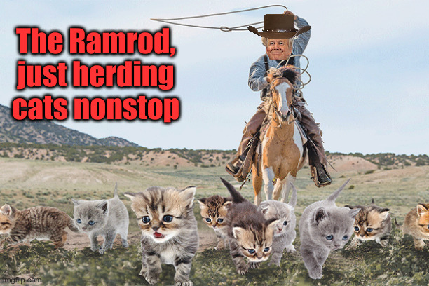 Head 'em Up, Move 'em Out ! | The Ramrod, just herding cats nonstop | image tagged in herding cats,political meme,politics,funny memes,funny,donald trump | made w/ Imgflip meme maker
