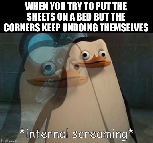 so frustrating | WHEN YOU TRY TO PUT THE SHEETS ON A BED BUT THE CORNERS KEEP UNDOING THEMSELVES | image tagged in private internal screaming,funny,memes,oh wow are you actually reading these tags | made w/ Imgflip meme maker