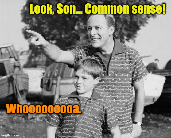 Look Son Meme | Look, Son... Common sense! Whooooooooa. | image tagged in memes,look son | made w/ Imgflip meme maker