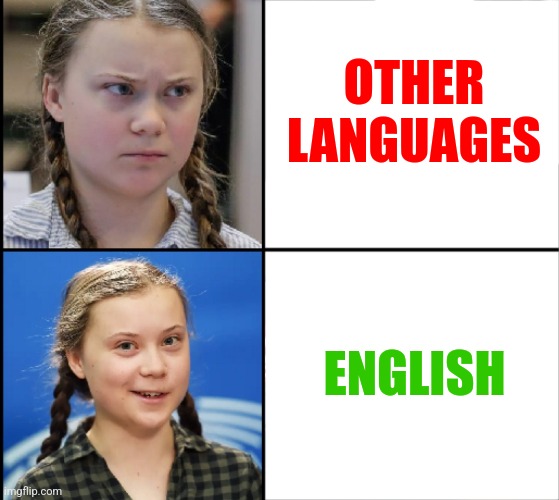 When you don't understand english | OTHER
LANGUAGES; ENGLISH | image tagged in memes,english,language | made w/ Imgflip meme maker