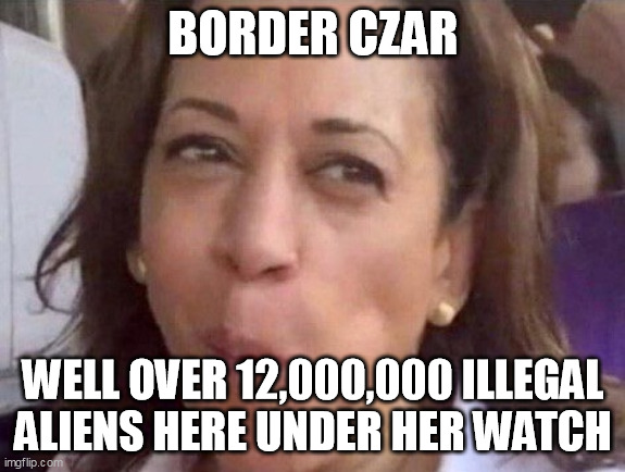 Kamala Harris | BORDER CZAR; WELL OVER 12,000,000 ILLEGAL ALIENS HERE UNDER HER WATCH | image tagged in kamala harris | made w/ Imgflip meme maker