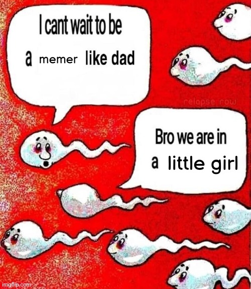 Bro we are inside a | memer; little girl | image tagged in bro we are inside a | made w/ Imgflip meme maker
