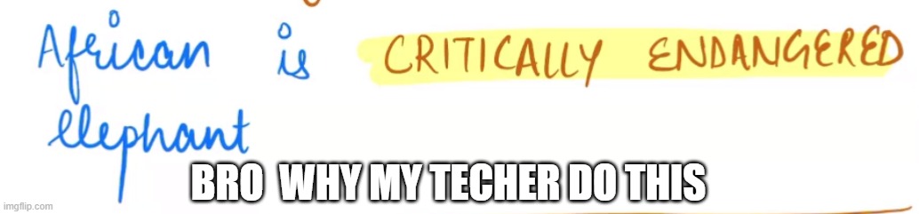 this is not disobeying the rules i swear my techer just wrote this | BRO  WHY MY TECHER DO THIS | image tagged in lol | made w/ Imgflip meme maker