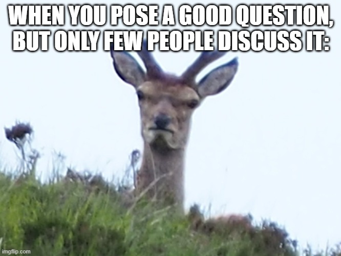 Meme | WHEN YOU POSE A GOOD QUESTION, BUT ONLY FEW PEOPLE DISCUSS IT: | image tagged in furious deer | made w/ Imgflip meme maker