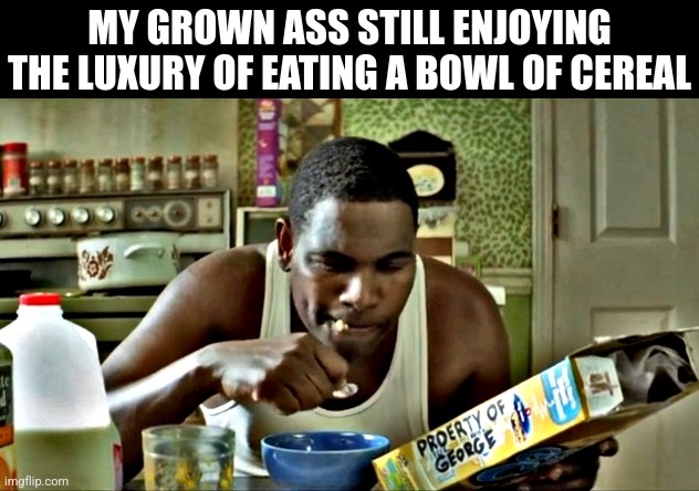 WHOLE TIME | MY GROWN ASS STILL ENJOYING THE LUXURY OF EATING A BOWL OF CEREAL | image tagged in i love cereal,cereal,atlanta | made w/ Imgflip meme maker