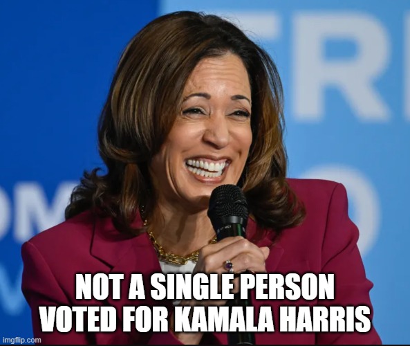Not a single person voted for Kamala Harris | NOT A SINGLE PERSON VOTED FOR KAMALA HARRIS | image tagged in kamala harris,democrats | made w/ Imgflip meme maker