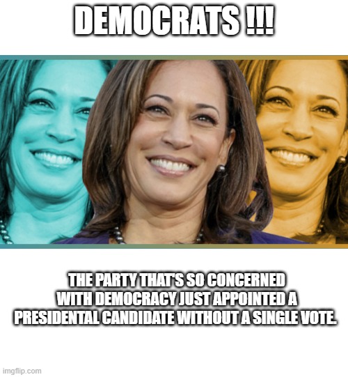 Democrats | DEMOCRATS !!! THE PARTY THAT'S SO CONCERNED WITH DEMOCRACY JUST APPOINTED A PRESIDENTAL CANDIDATE WITHOUT A SINGLE VOTE. | image tagged in politics | made w/ Imgflip meme maker