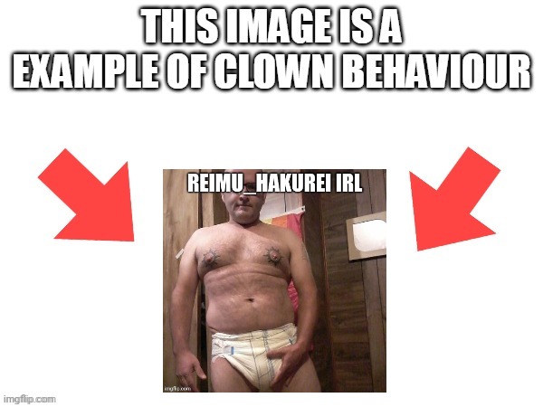 This image is a example of clown behaviour | image tagged in this image is a example of clown behaviour | made w/ Imgflip meme maker