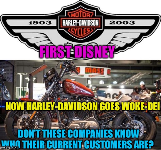 Tear down statues, divide people, destroy the country | FIRST DISNEY; NOW HARLEY-DAVIDSON GOES WOKE-DEI; DON’T THESE COMPANIES KNOW WHO THEIR CURRENT CUSTOMERS ARE? | image tagged in gifs,america,woke,democrats | made w/ Imgflip meme maker