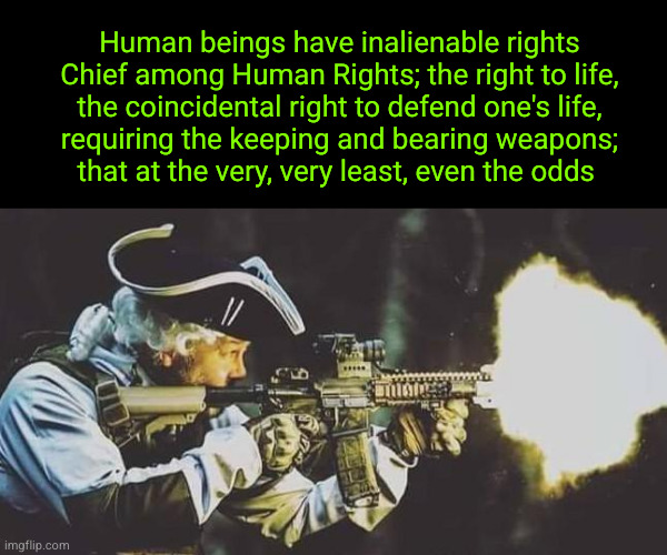 weapons thar at least even the odds | Human beings have inalienable rights
Chief among Human Rights; the right to life,
the coincidental right to defend one's life,
requiring the keeping and bearing weapons;
that at the very, very least, even the odds | image tagged in george washington ar15 | made w/ Imgflip meme maker