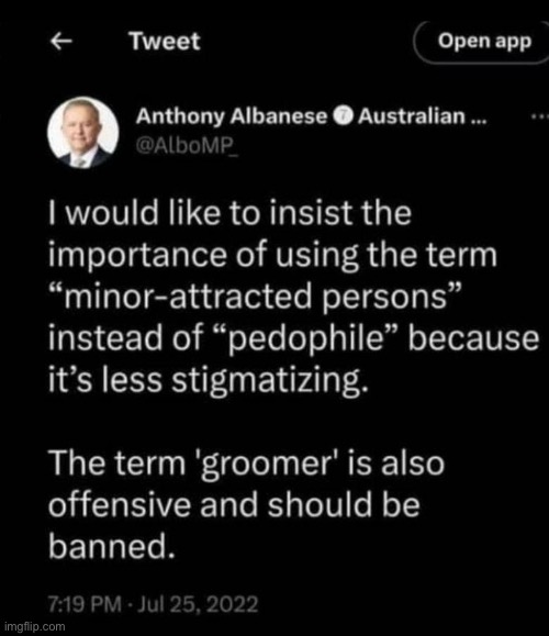 Whoopsie | image tagged in child groomer prime minister | made w/ Imgflip meme maker