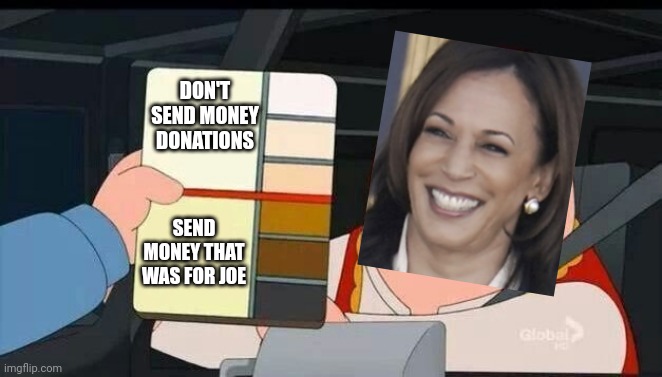 Gritter Election | DON'T SEND MONEY DONATIONS; SEND MONEY THAT WAS FOR JOE | image tagged in peter griffin skin color chart race terrorist blank,racism,leftists,liberals,democrats | made w/ Imgflip meme maker