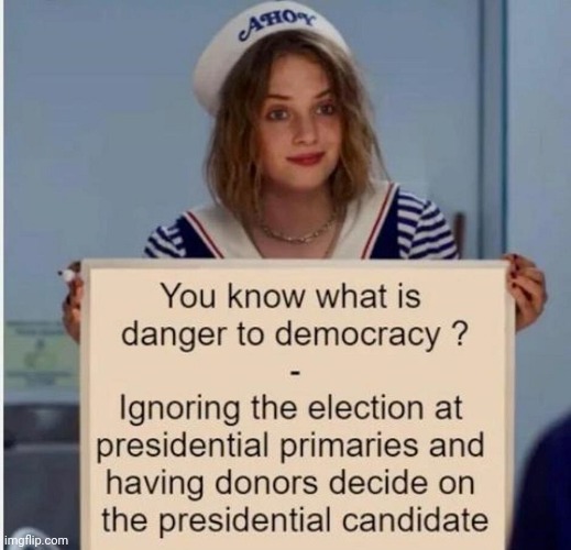 Do you know what is a danger to democracy? | image tagged in hypocrisy,democrats | made w/ Imgflip meme maker