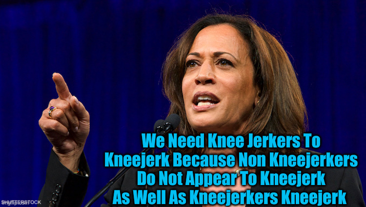 Start Jerking ! | We Need Knee Jerkers To Kneejerk Because Non Kneejerkers Do Not Appear To Kneejerk As Well As Kneejerkers Kneejerk | image tagged in kamala harris,political meme,politics,funny memes,funny,word salad | made w/ Imgflip meme maker