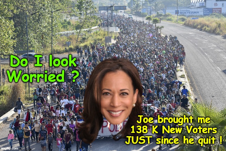 $230 mil donations, PLUS 138K voters, TWO 24 HR. records ! | Do I look Worried ? Joe brought me 138 K New Voters JUST since he quit ! | image tagged in kamala new illegal voters meme | made w/ Imgflip meme maker
