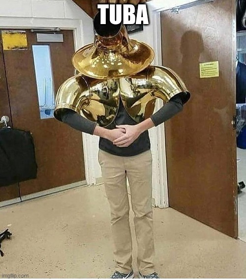 this image is an example of how to properly raid Horny-ahh | TUBA | made w/ Imgflip meme maker