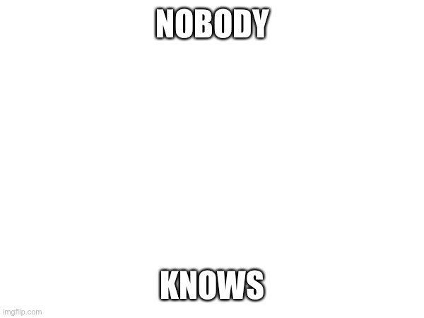 NOBODY KNOWS | made w/ Imgflip meme maker