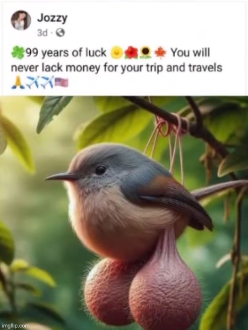 NAHHH WHY DOES THE BIRD HAVE BALLS | made w/ Imgflip meme maker
