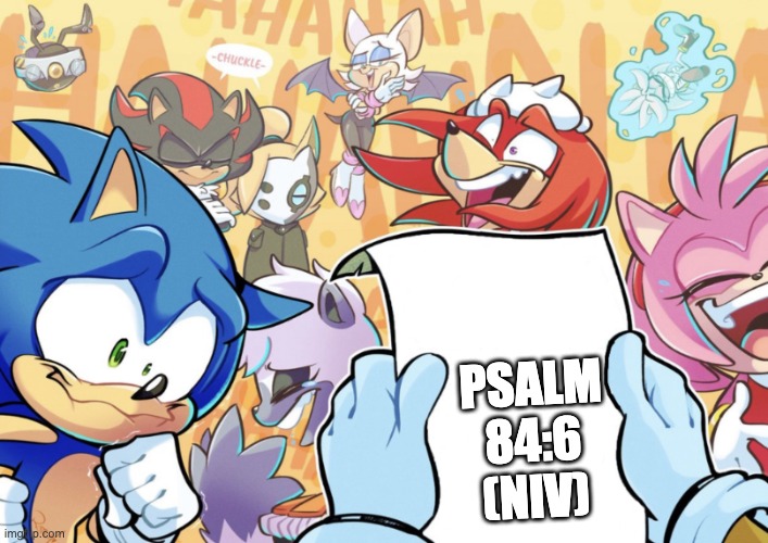 sonic and friends laughing | PSALM 84:6 (NIV) | image tagged in sonic and friends laughing | made w/ Imgflip meme maker