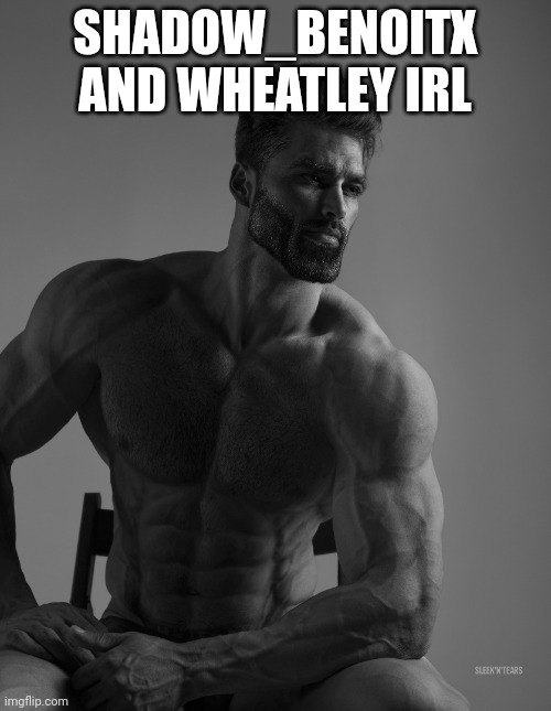 Giga Chad | SHADOW_BENOITX AND WHEATLEY IRL | image tagged in giga chad | made w/ Imgflip meme maker