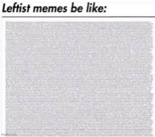 Leftist memes be like | image tagged in leftists | made w/ Imgflip meme maker