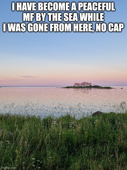 I found inner peace | I HAVE BECOME A PEACEFUL MF BY THE SEA WHILE I WAS GONE FROM HERE, NO CAP | made w/ Imgflip meme maker