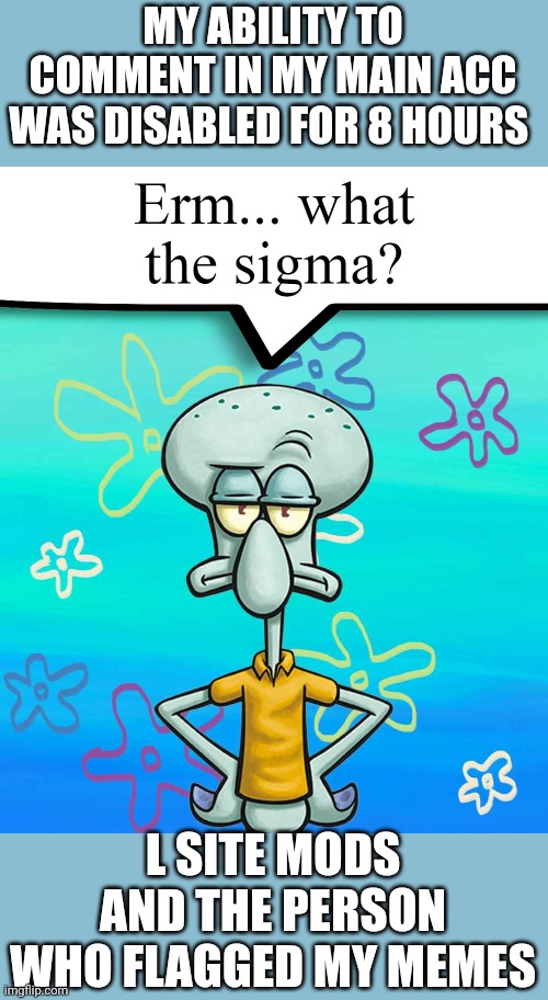 Erm... what the sigma? | MY ABILITY TO COMMENT IN MY MAIN ACC WAS DISABLED FOR 8 HOURS; L SITE MODS AND THE PERSON WHO FLAGGED MY MEMES | image tagged in erm what the sigma | made w/ Imgflip meme maker