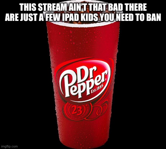 Dr. Pepper | THIS STREAM AIN’T THAT BAD THERE ARE JUST A FEW IPAD KIDS YOU NEED TO BAN | image tagged in dr pepper | made w/ Imgflip meme maker
