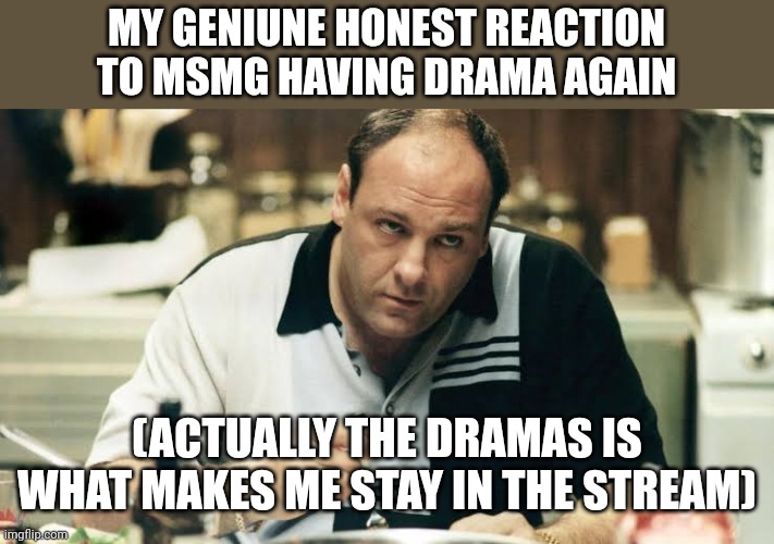 Tony Soprano | MY GENIUNE HONEST REACTION TO MSMG HAVING DRAMA AGAIN; (ACTUALLY THE DRAMAS IS WHAT MAKES ME STAY IN THE STREAM) | image tagged in tony soprano | made w/ Imgflip meme maker