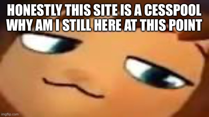 smug hat kid.mp4 | HONESTLY THIS SITE IS A CESSPOOL WHY AM I STILL HERE AT THIS POINT | image tagged in smug hat kid mp4 | made w/ Imgflip meme maker