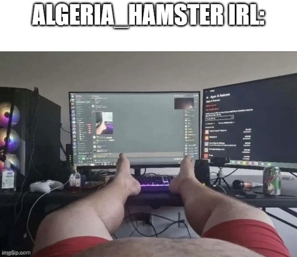 W | ALGERIA_HAMSTER IRL: | image tagged in or l | made w/ Imgflip meme maker