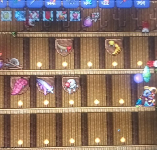 My Celebrationmk10 seed trophy collection (so far) | image tagged in terraria,gaming,video games,nintendo switch,screenshot | made w/ Imgflip meme maker